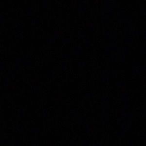 Meet your Posher, Bruce